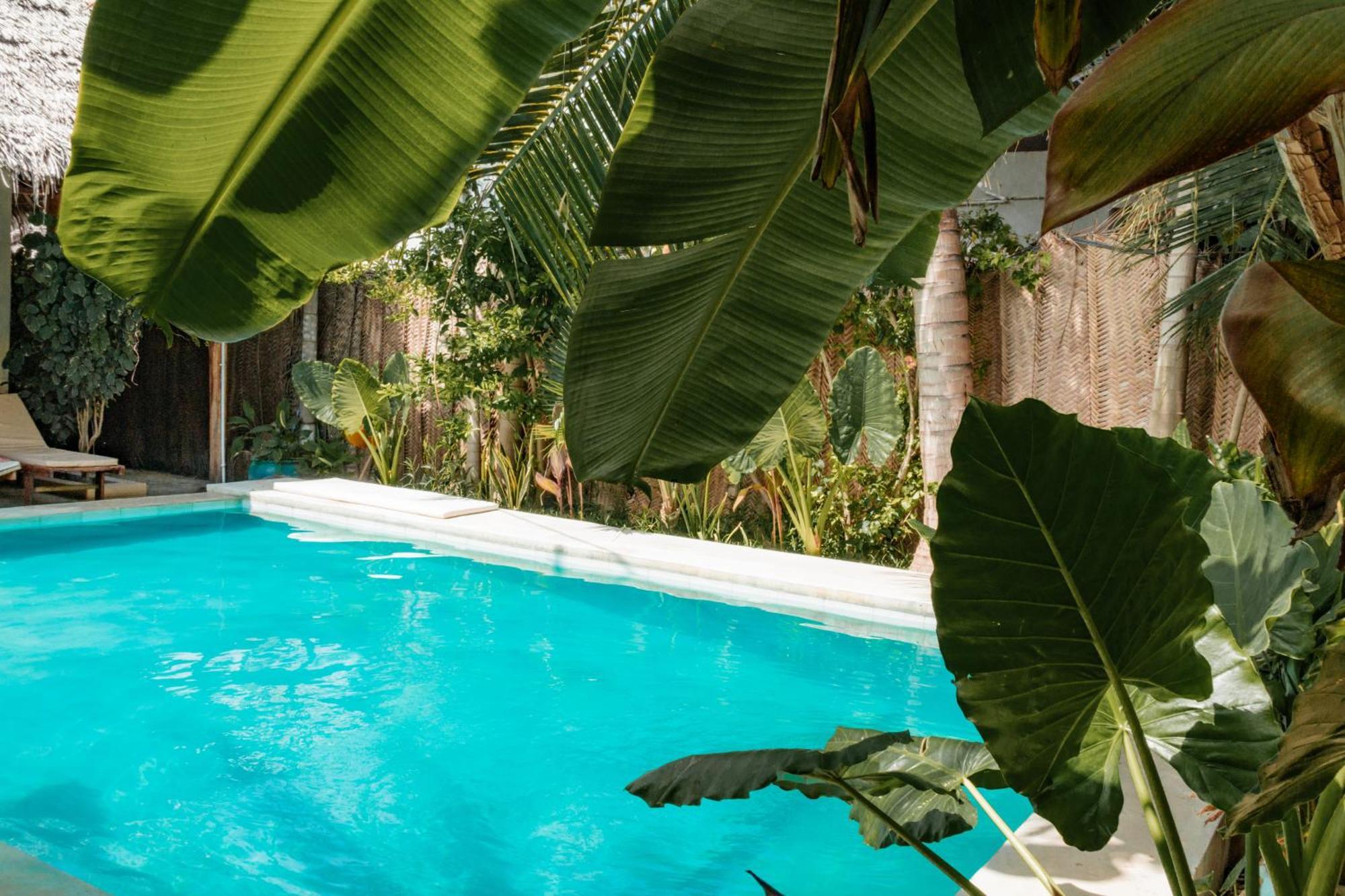 Pili Pili Palm Beach Jambiani  Exterior photo